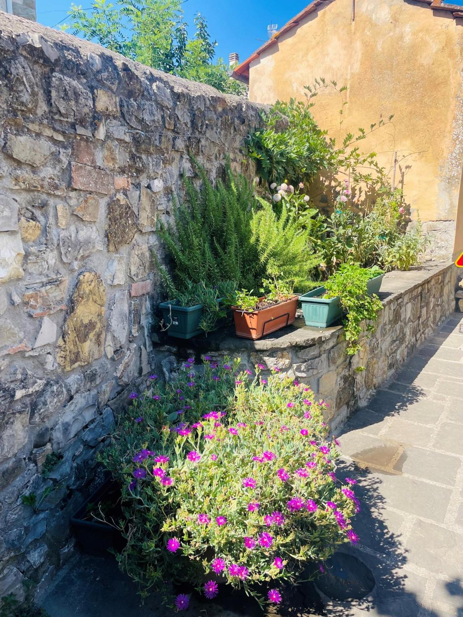 “Da Paolino” Borgo alla Collina Exterior foto